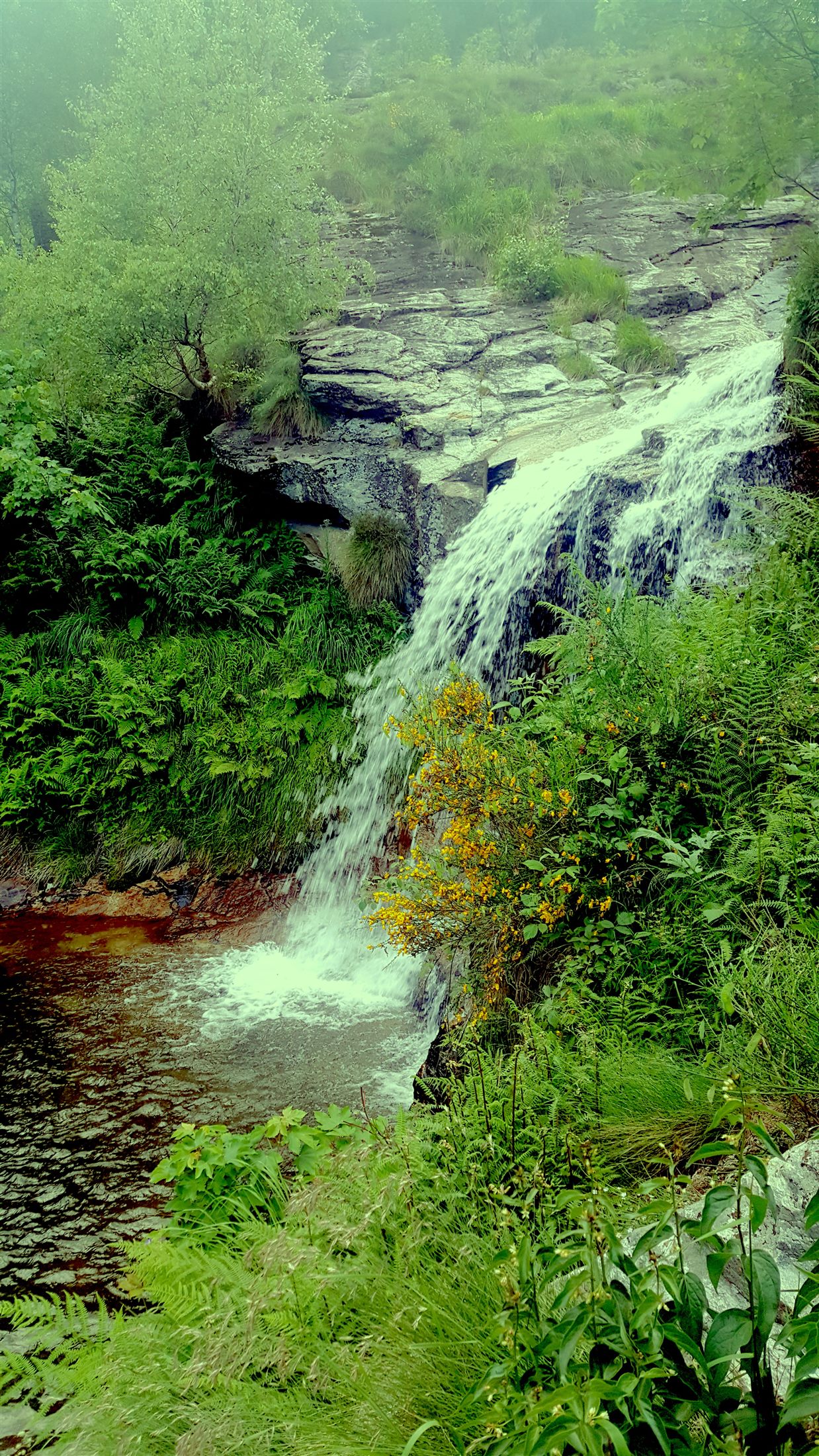 Cascade