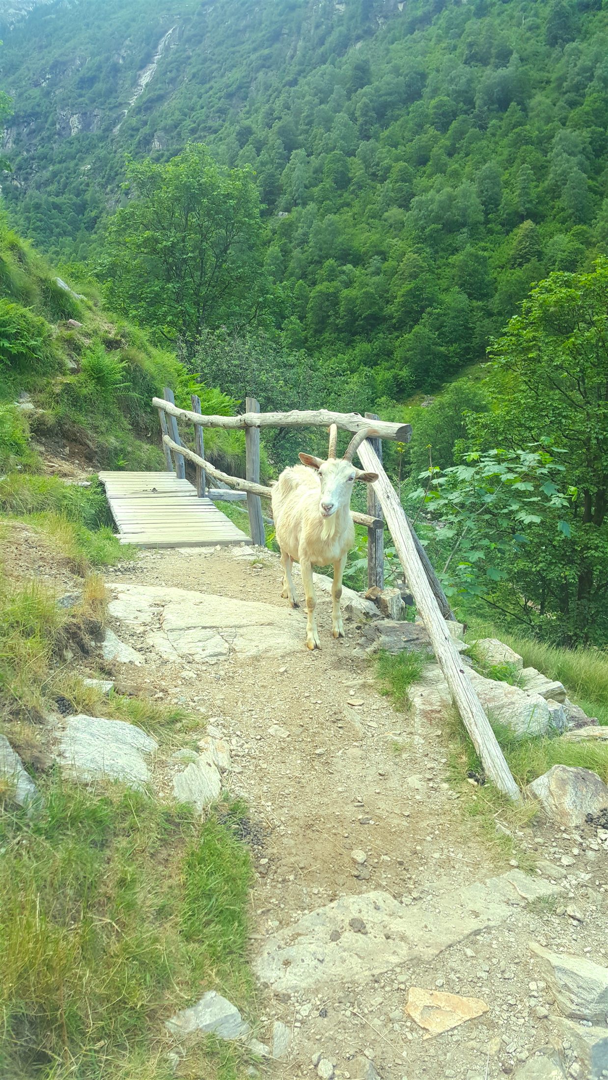 Sentier